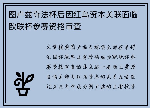 图卢兹夺法杯后因红鸟资本关联面临欧联杯参赛资格审查 图卢兹夺法杯后因红鸟资本关联面临欧联杯参赛资格审查